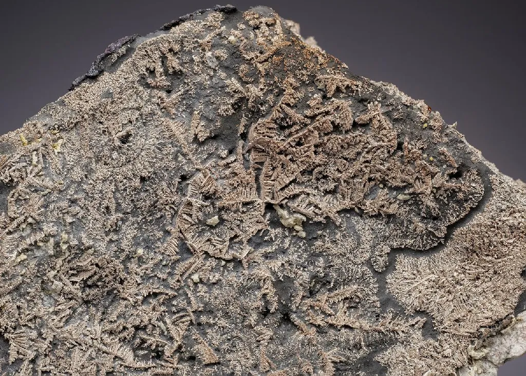 NATIVE Silver in NATIVE Arsenic image