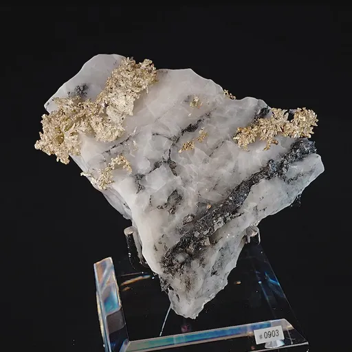 specimen video