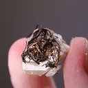 NATIVE Silver on Calcite - image 2