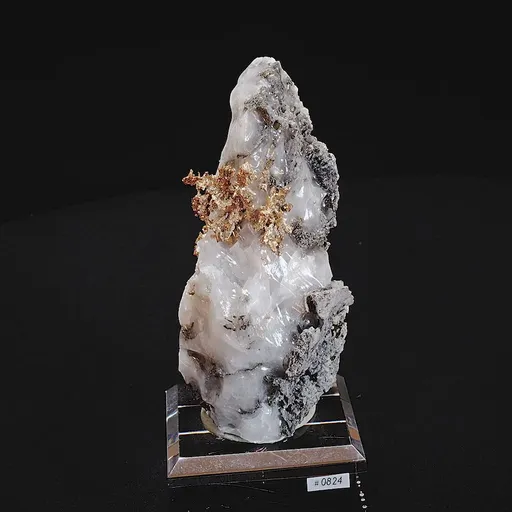 specimen video