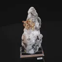 specimen video