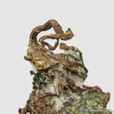 Native Silver on Copper with Epidote (mid-1800's) - image 3