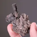 NATIVE Silver ps. after Dyscrasite - image 2