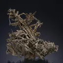 NATIVE Silver ps. after Dyscrasite - image 1