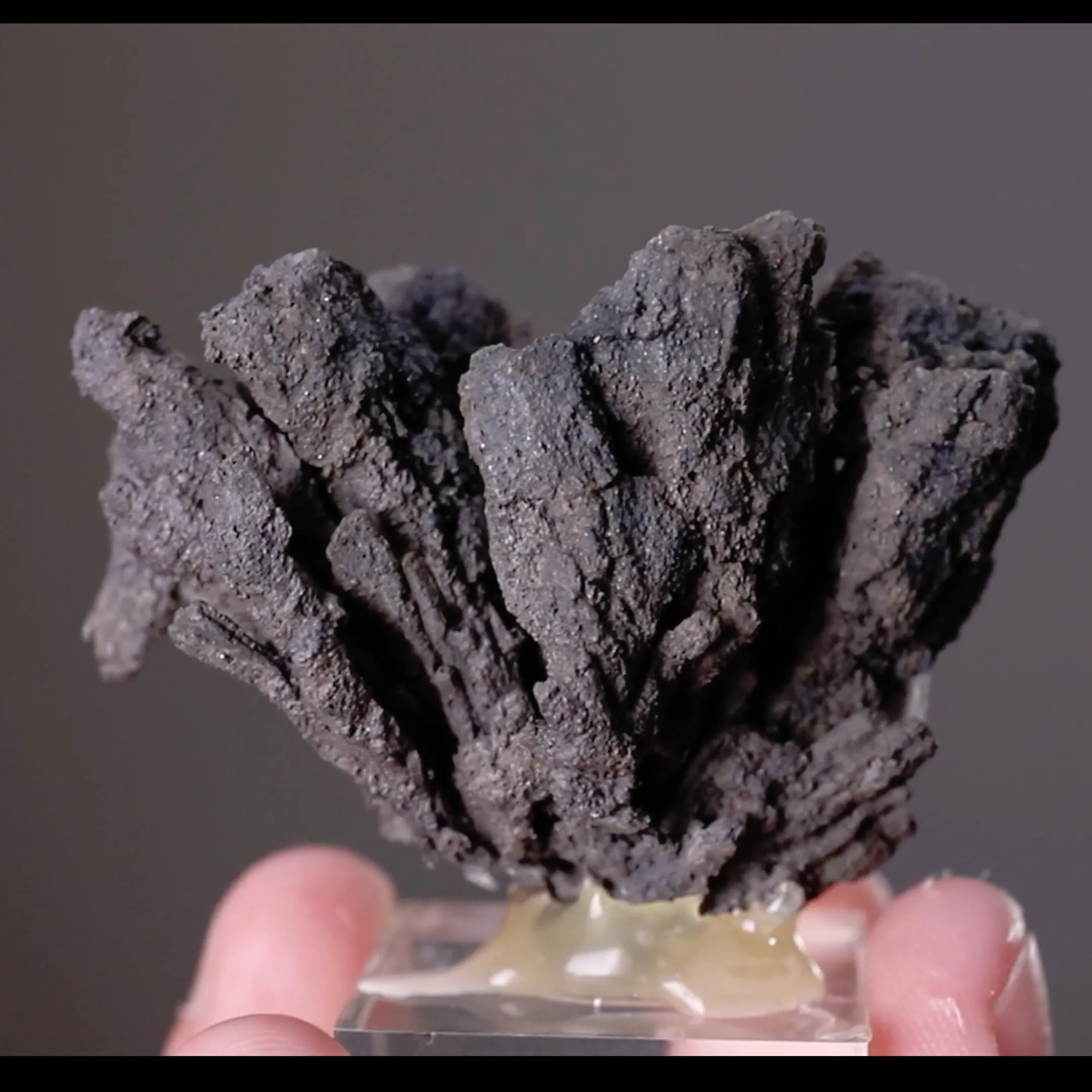 NATIVE Silver ps. after Pyrargyrite - image 2