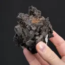 NATIVE Silver ps. after Pyrargyrite with Stephanite - image 2