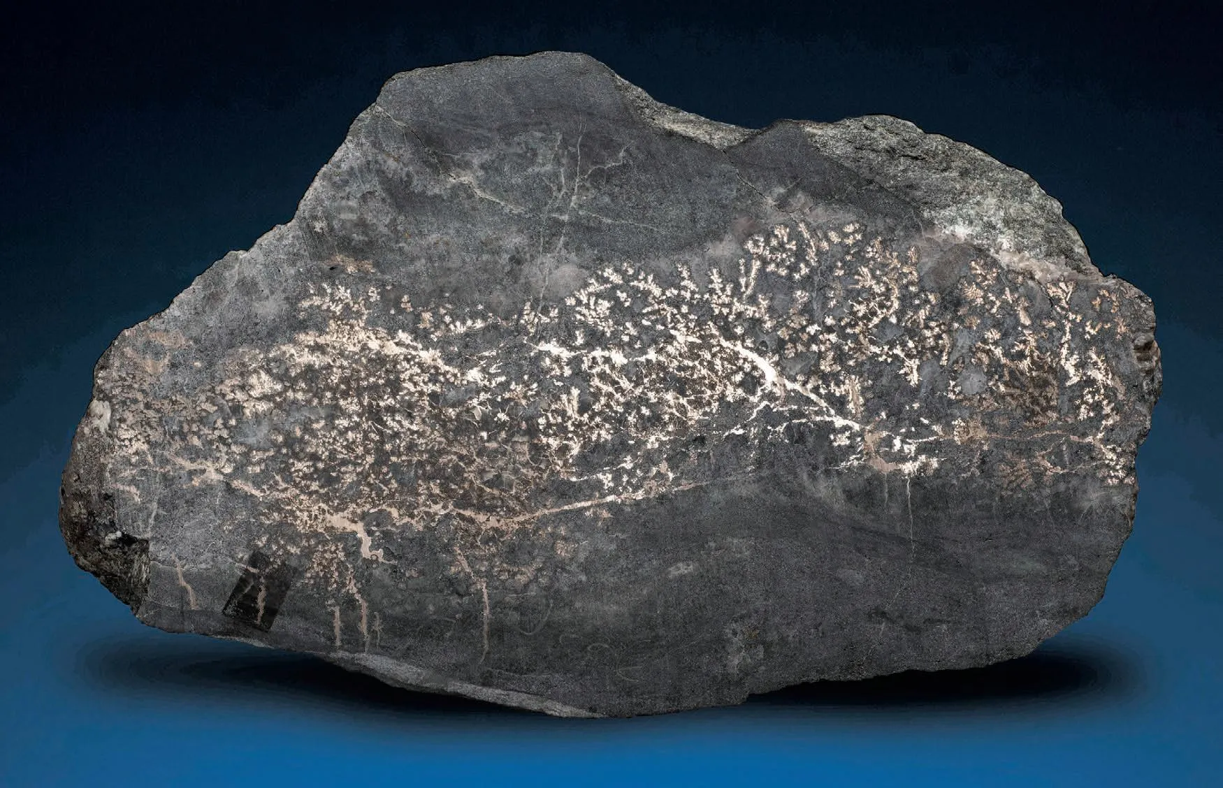 Native Silver, Quartz - image 1