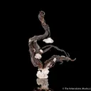 Native Silver with Calcite - image 2