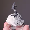 NATIVE Silver with Calcite - image 2