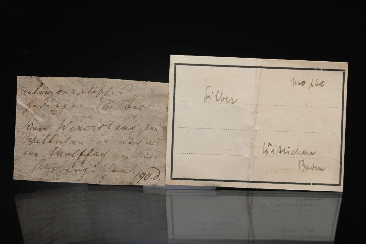 NATIVE Silver with Galena in Baryte - image 1