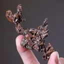 NATIVE Silver with NATIVE Copper - image 2