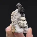 NATIVE Silver with Pyrite - image 2