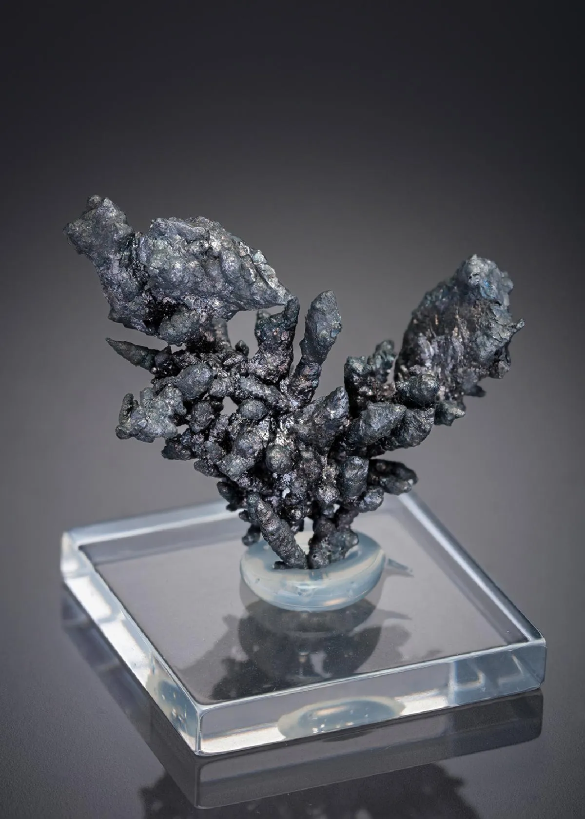 NATIVE Silver with Safflorite - image 1