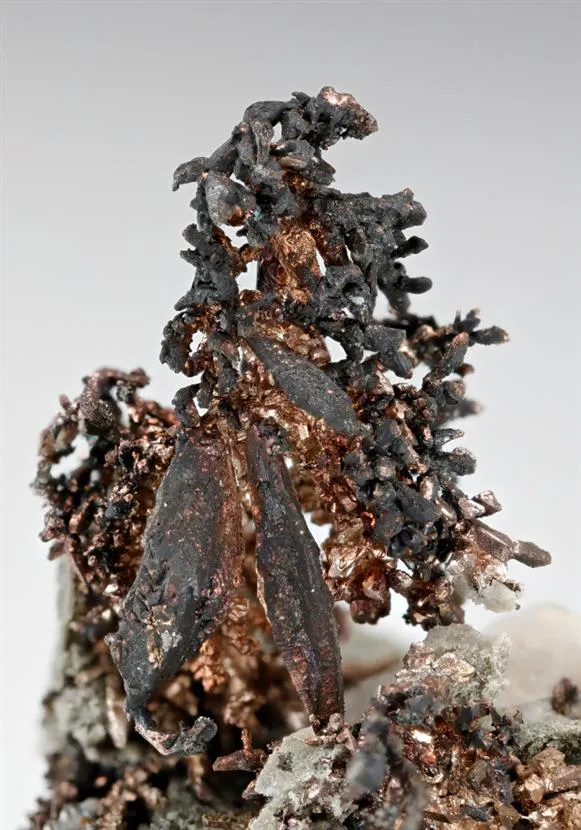 NATIVE Silver with Sphalerite and Galena - image 1