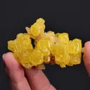 NATIVE Sulphur - image 1
