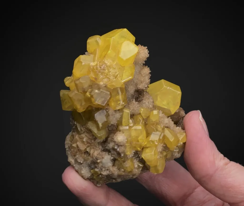 NATIVE Sulphur image
