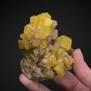 NATIVE Sulphur - image 1
