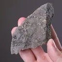 NATIVE Tellurium with KRENNERITE and Pyrite - image 2