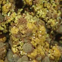 Natroharmacosiderite & Arseniosiderite - image 2