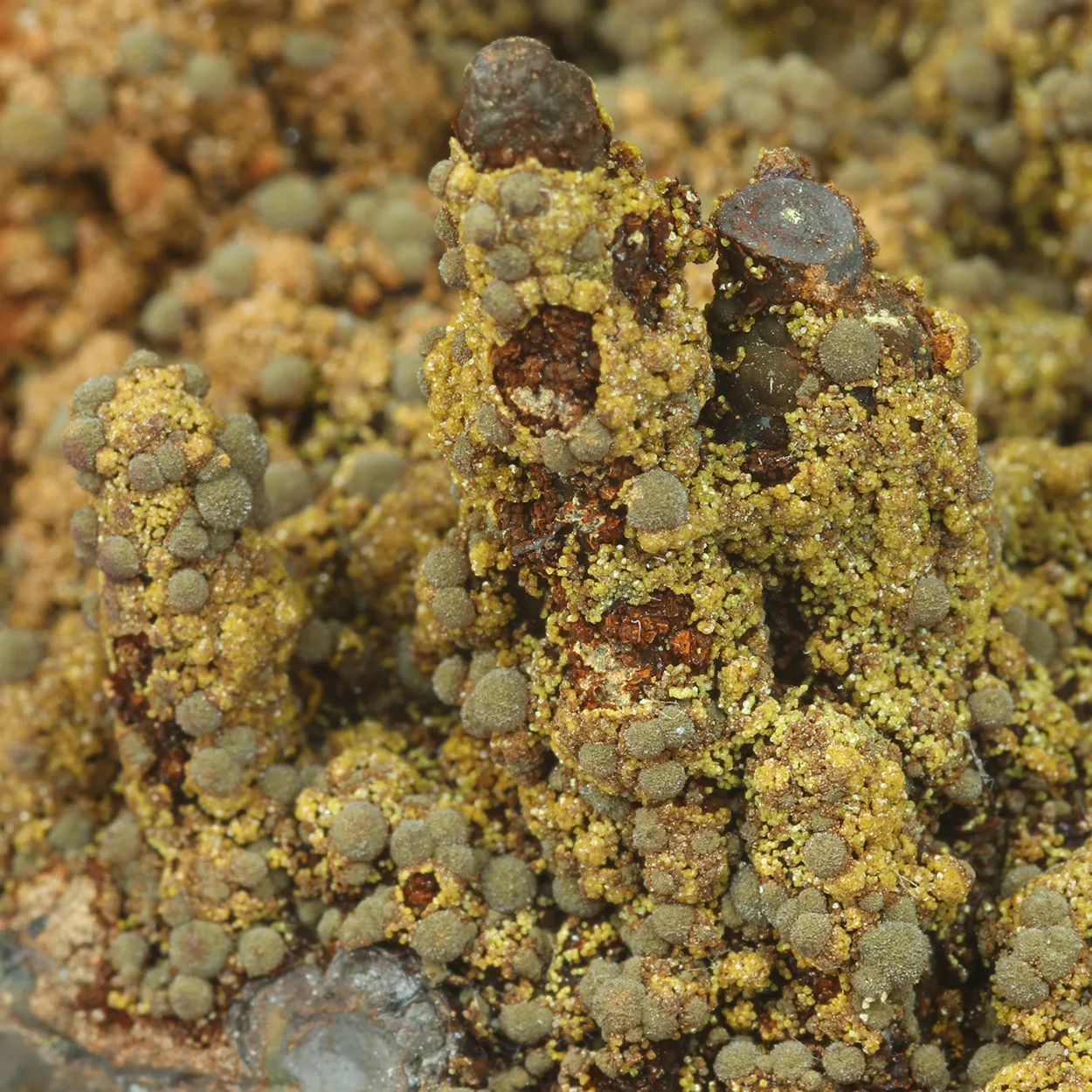 Natroharmacosiderite & Arseniosiderite - image 4