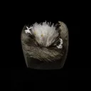 Natrolite Sprays Inside Chalcedony Geode Natural Mineral Specimen - image 1