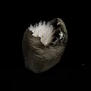 Natrolite Sprays Inside Chalcedony Geode Natural Mineral Specimen - image 3