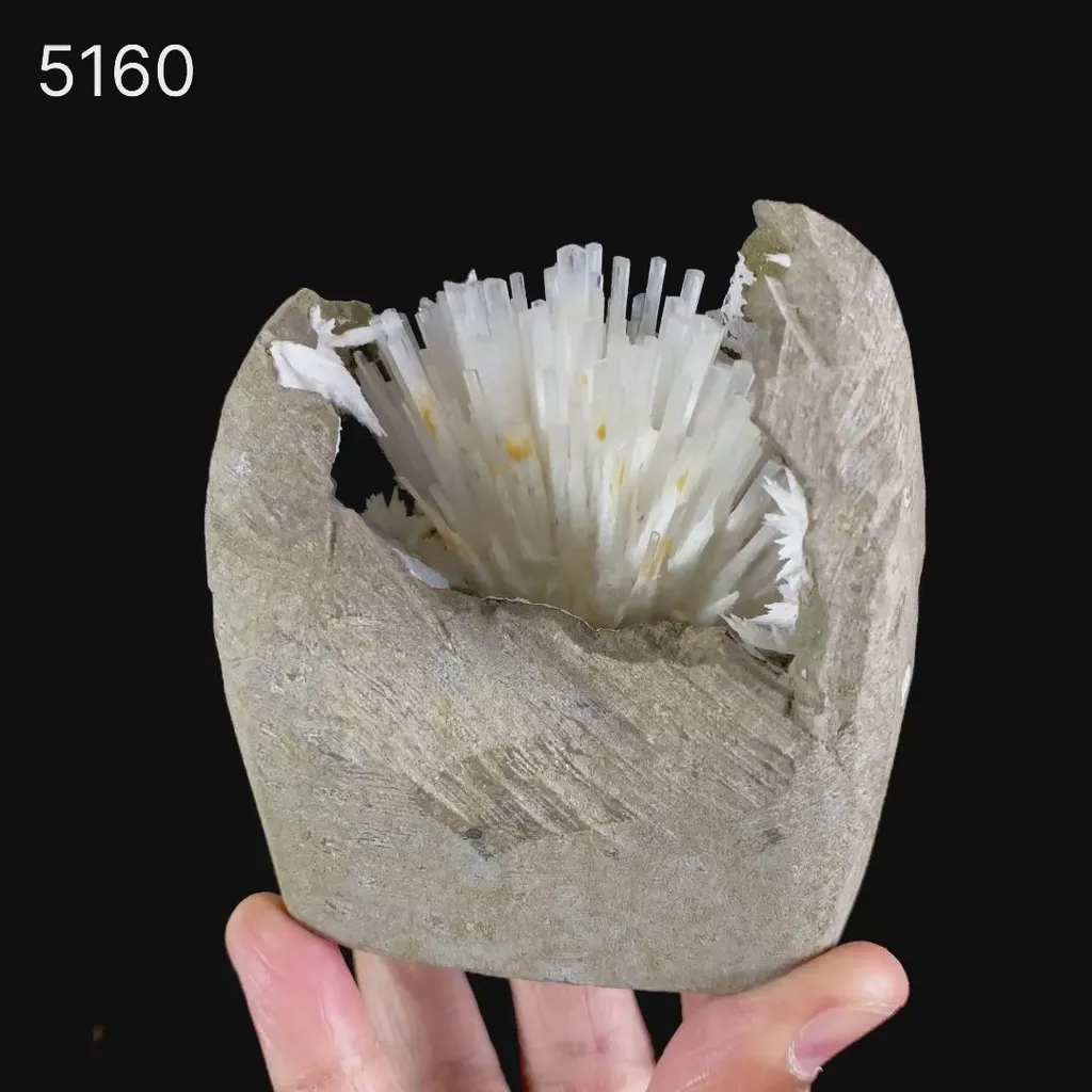Natrolite Sprays Inside Chalcedony Geode Natural Mineral Specimen - image 6