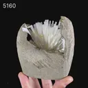 Natrolite Sprays Inside Chalcedony Geode Natural Mineral Specimen - image 6