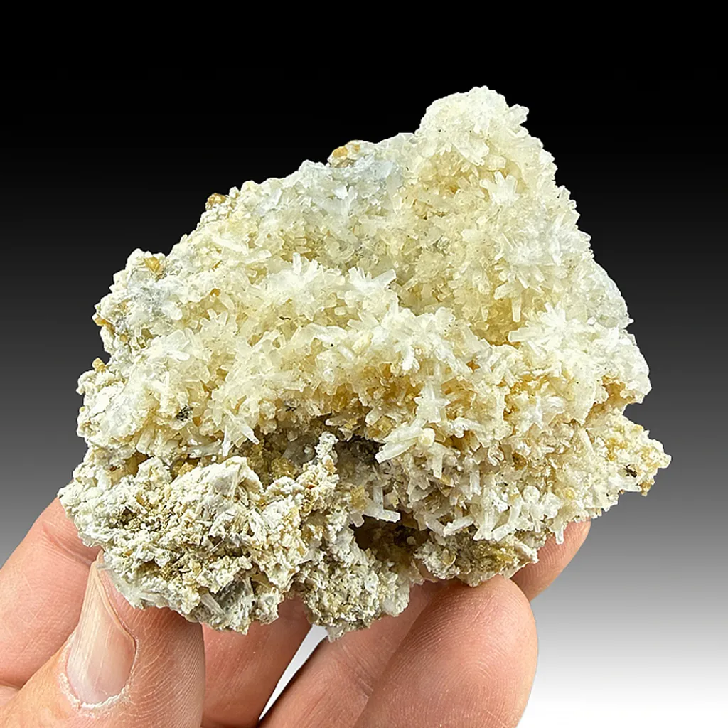 Natrolite with Siderite image