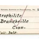 Natrophilite With Lithiophilite - image 3