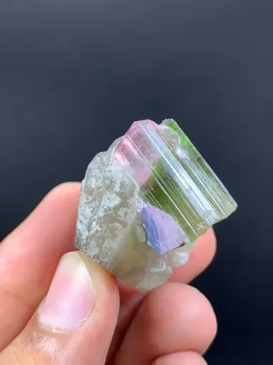 specimen video