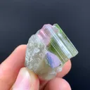 specimen video