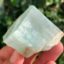specimen video