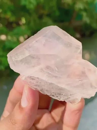 specimen video