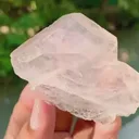 specimen video