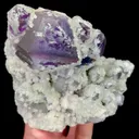 specimen video