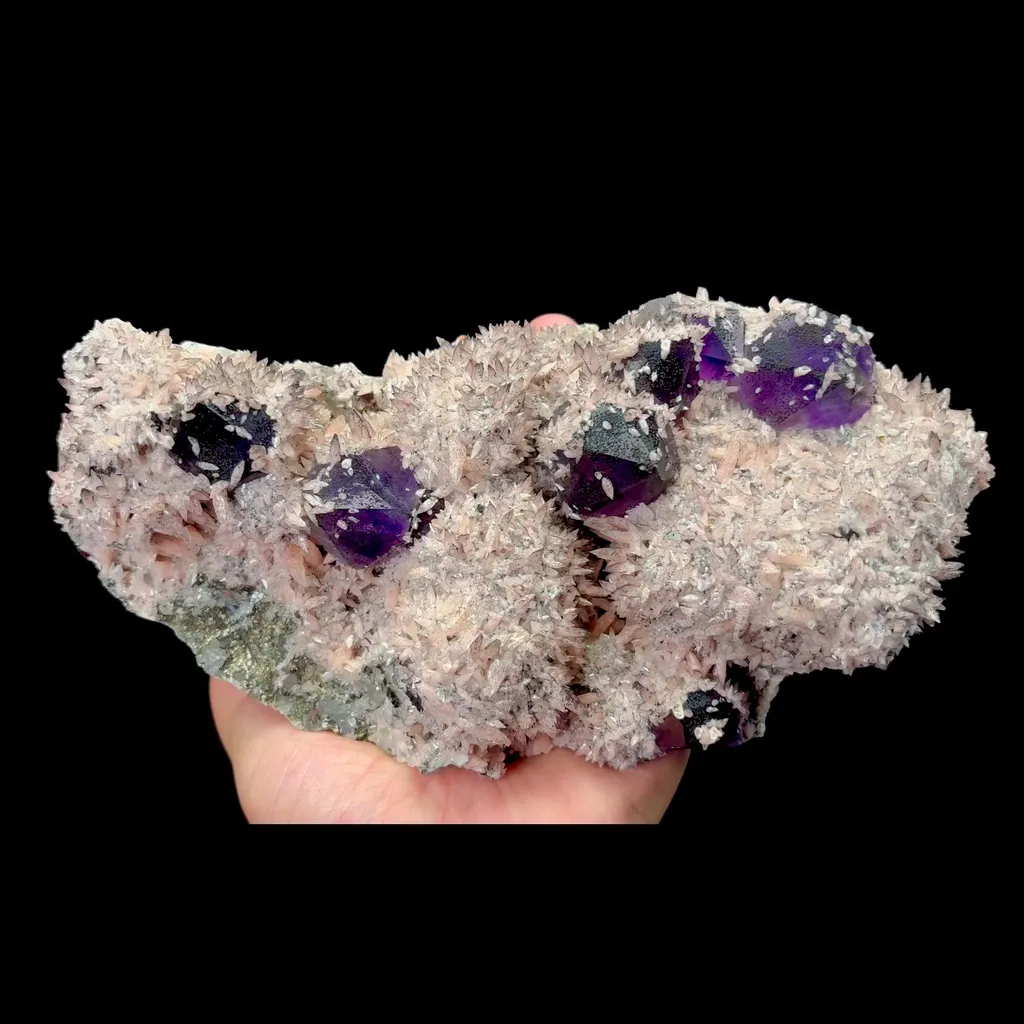 specimen video