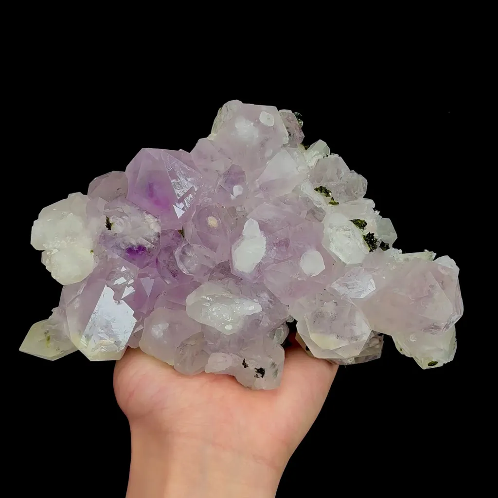 specimen video