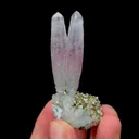 specimen video