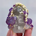 specimen video