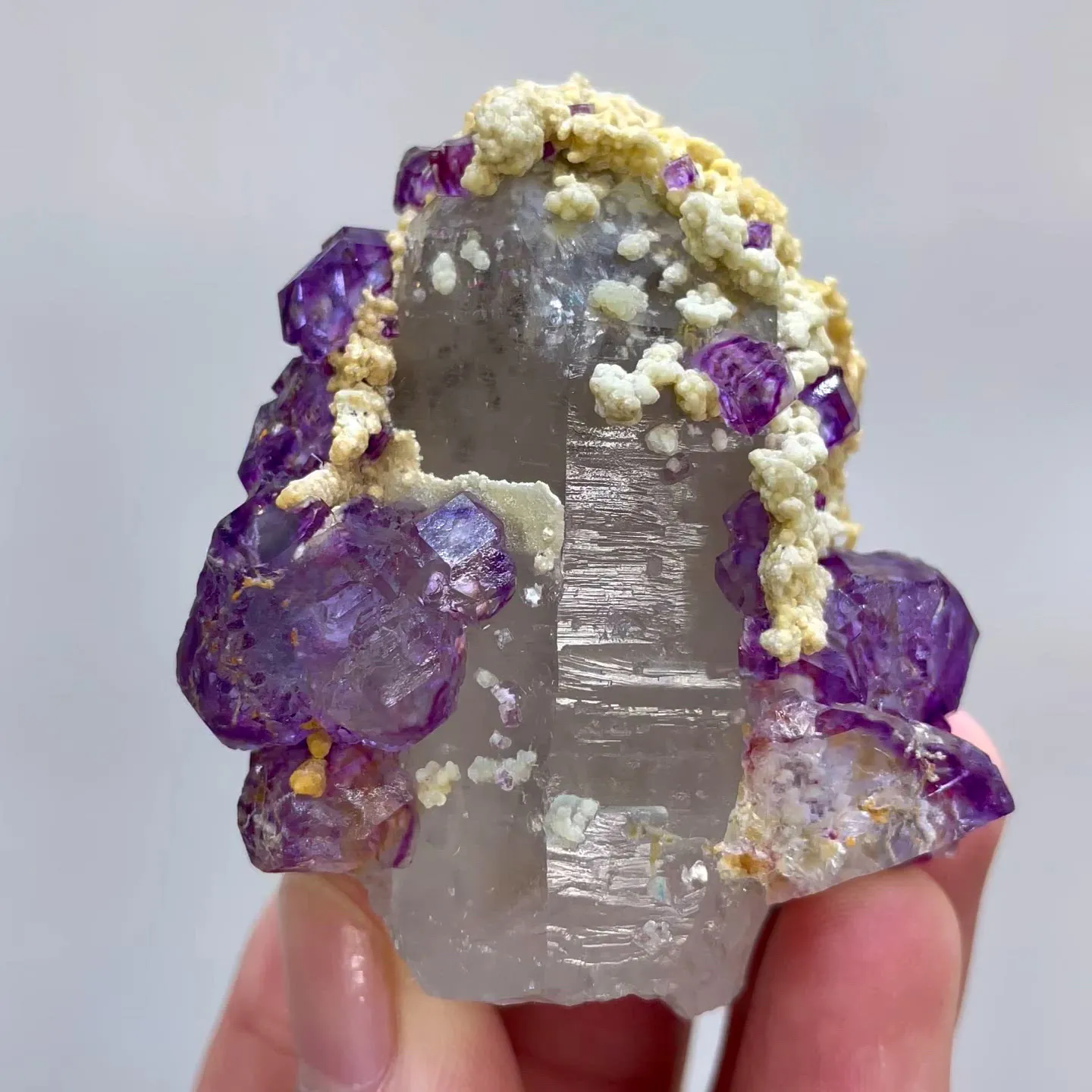 specimen video