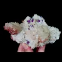 specimen video