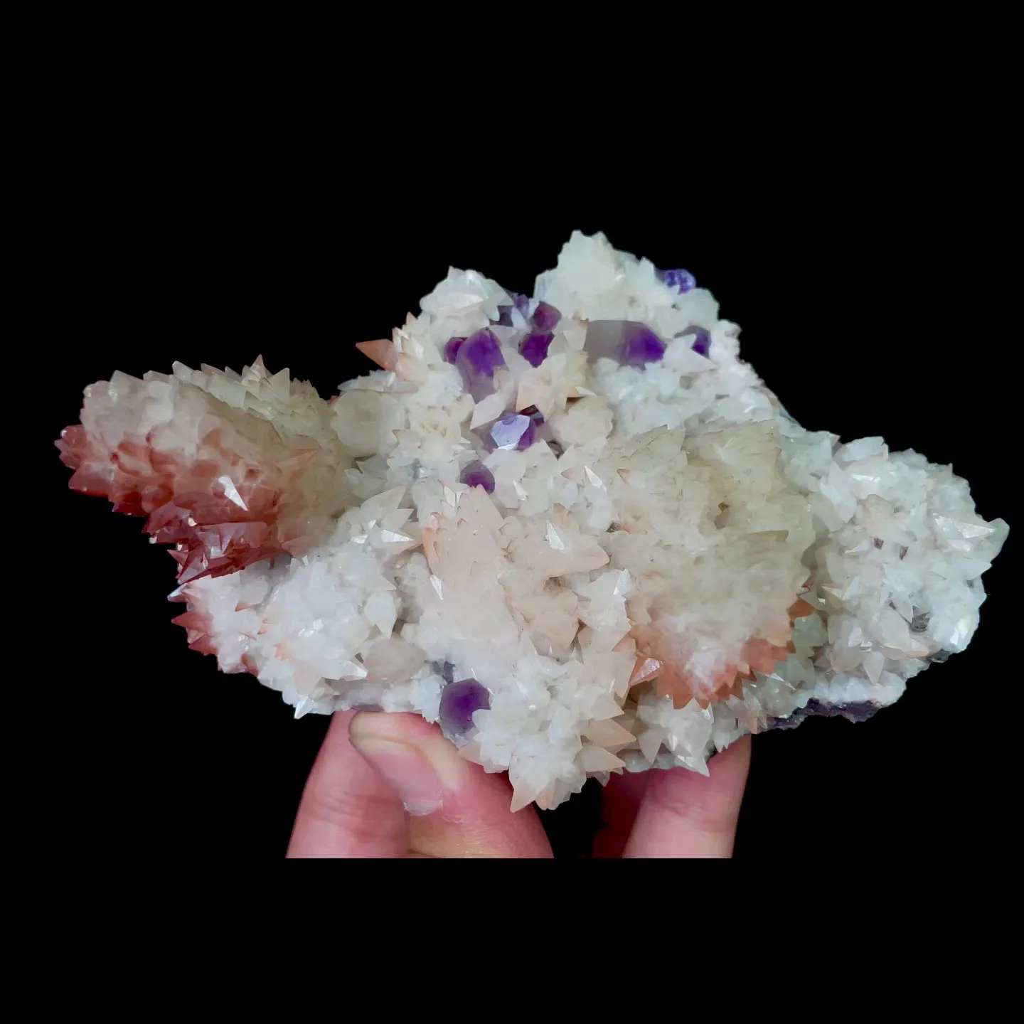specimen video