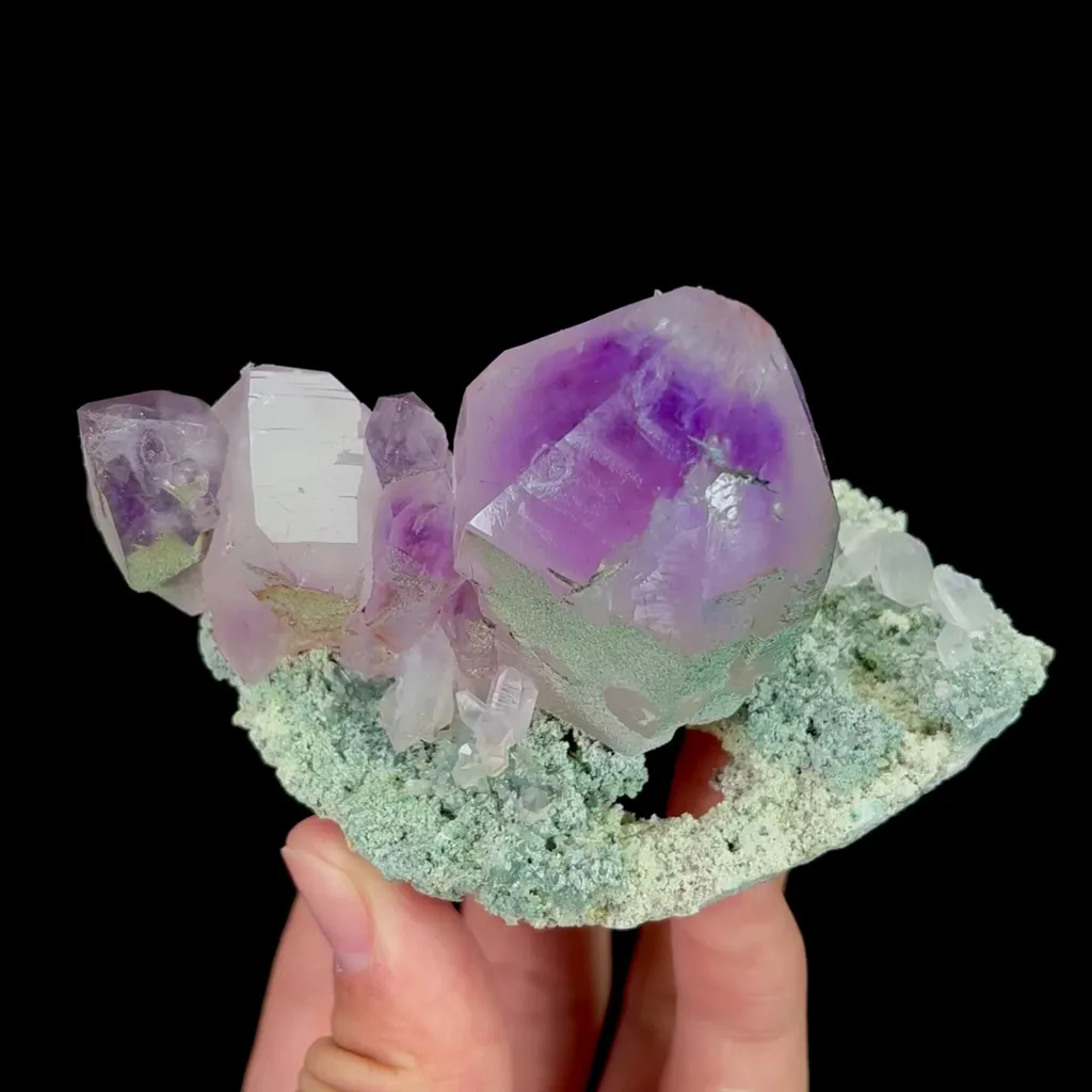 specimen video