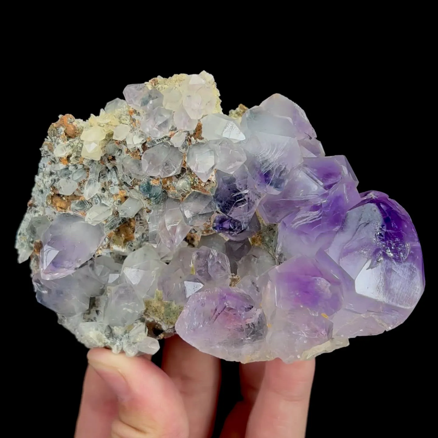 specimen video