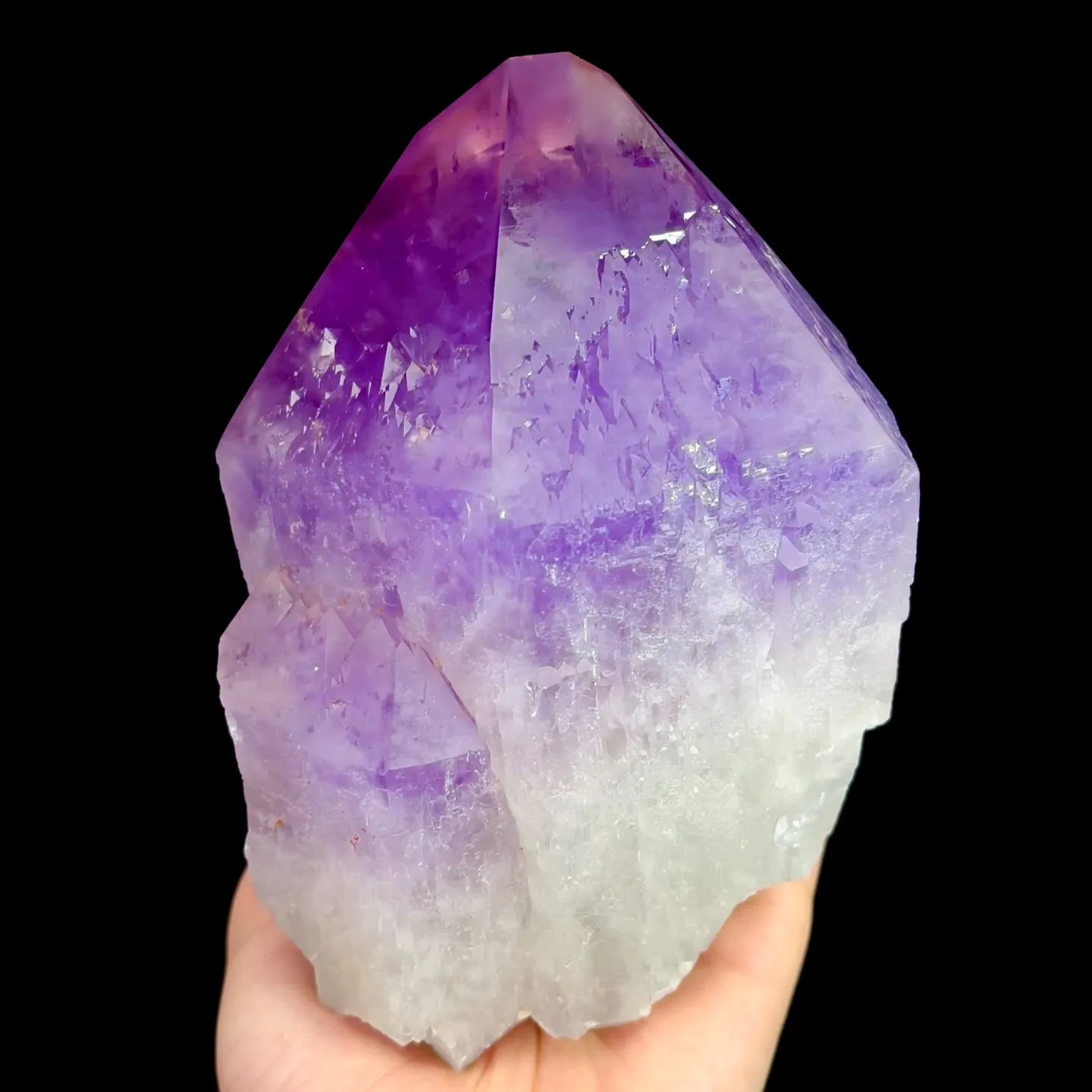 specimen video