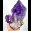 specimen video