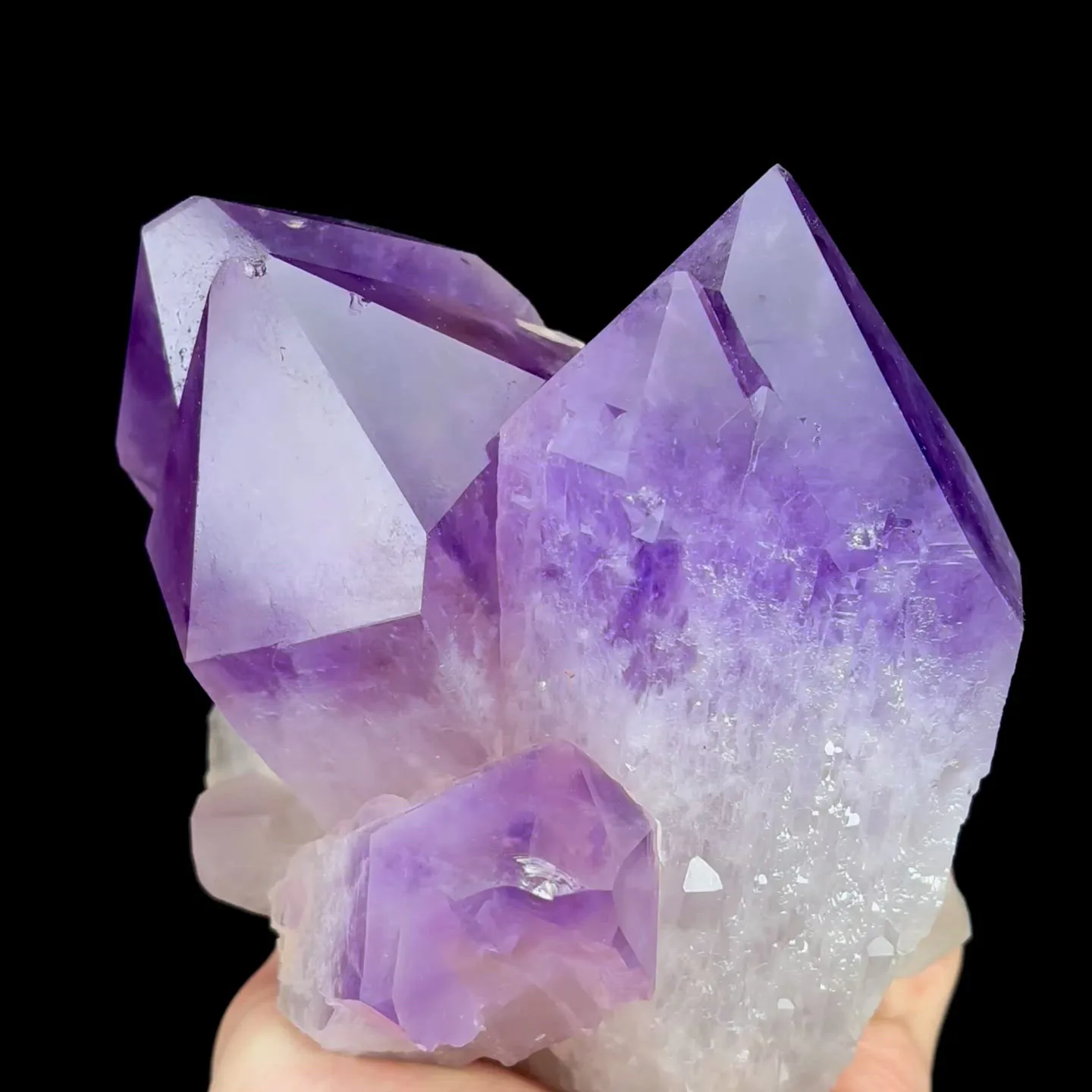specimen video