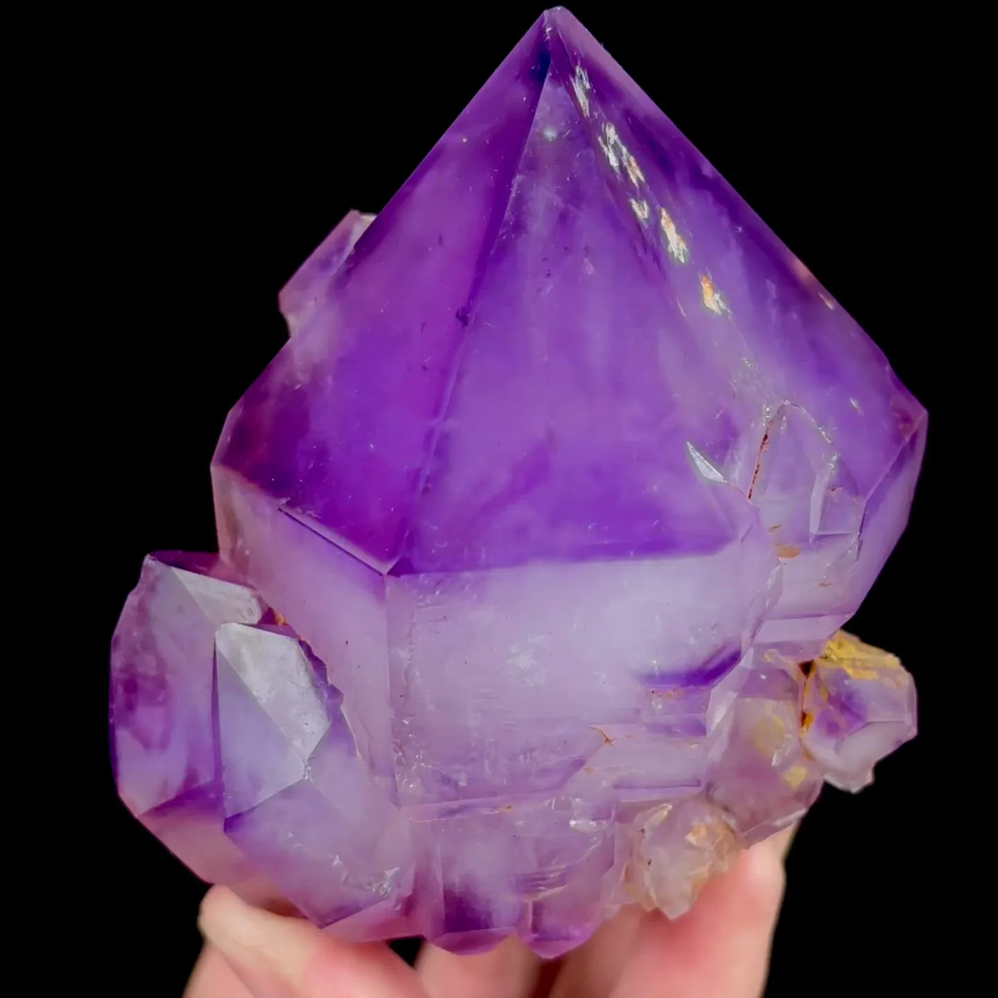 specimen video