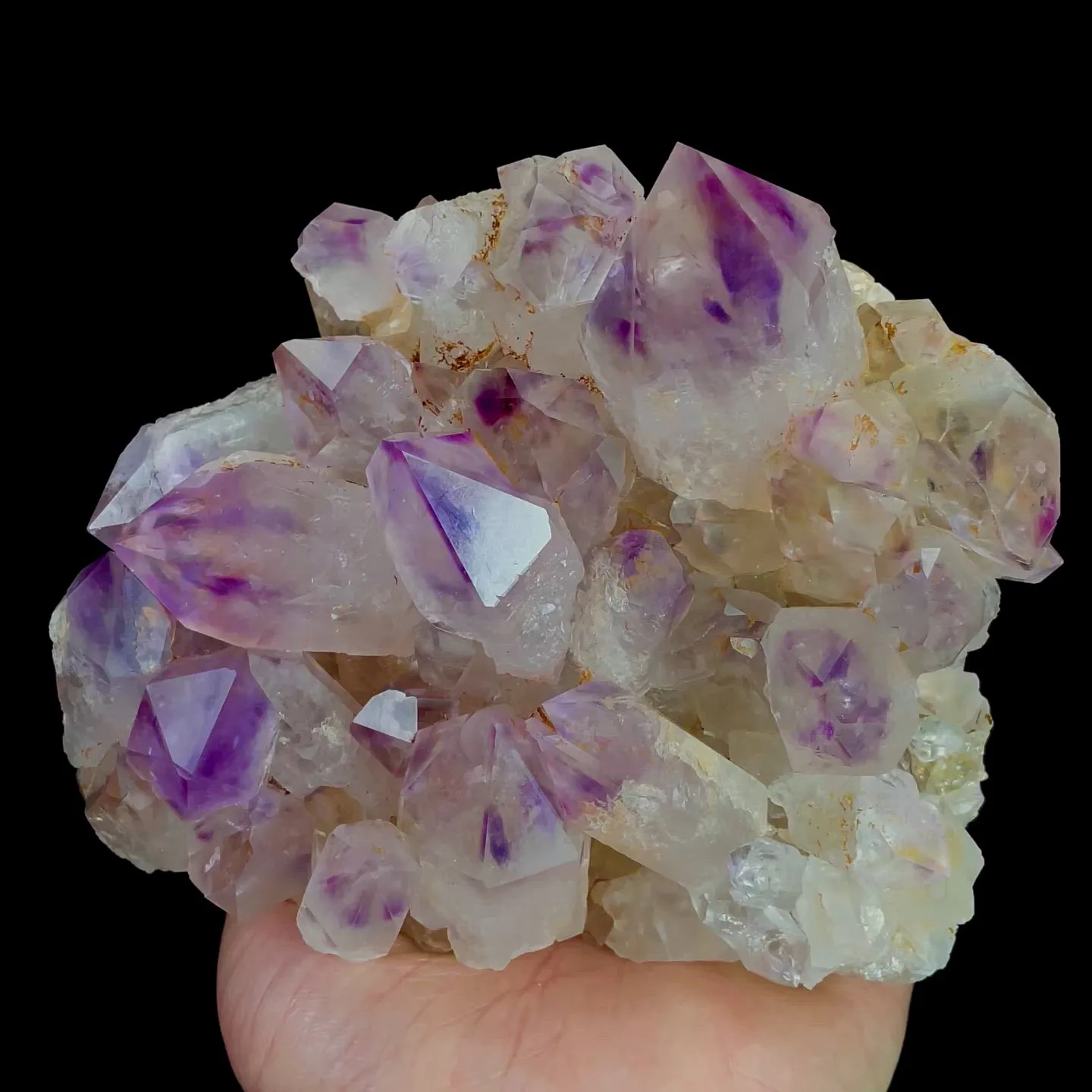 specimen video